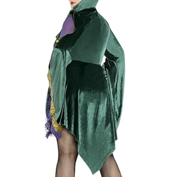 Spirit Halloween Hocus Pocus Adult Winifred Sanderson Dress - Picture 3 of 4